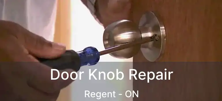  Door Knob Repair Regent - ON