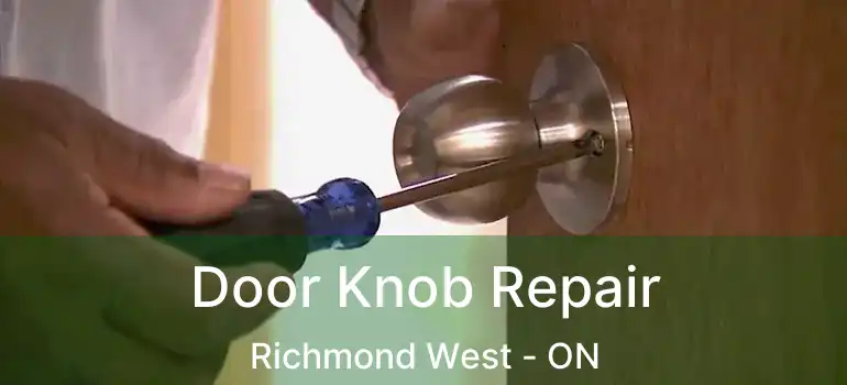  Door Knob Repair Richmond West - ON