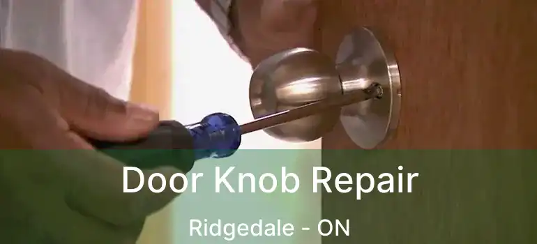  Door Knob Repair Ridgedale - ON