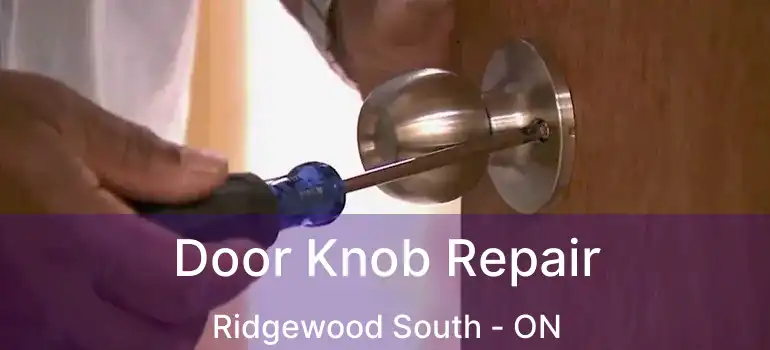  Door Knob Repair Ridgewood South - ON