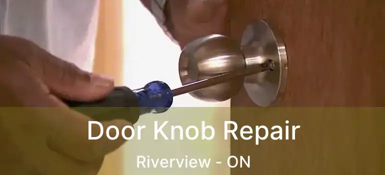  Door Knob Repair Riverview - ON