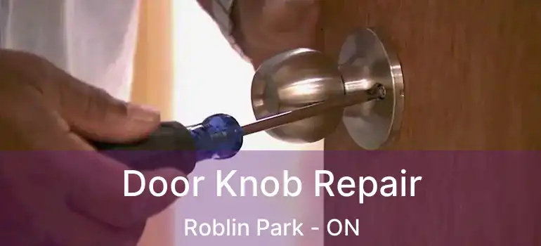  Door Knob Repair Roblin Park - ON