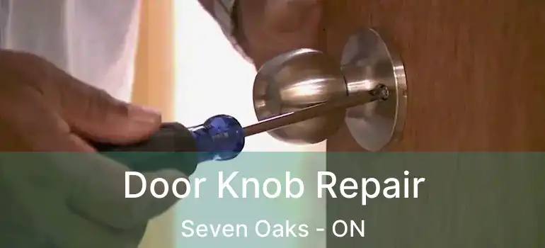  Door Knob Repair Seven Oaks - ON