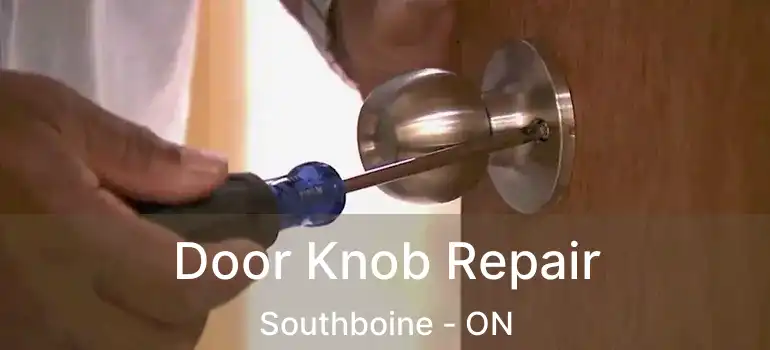  Door Knob Repair Southboine - ON