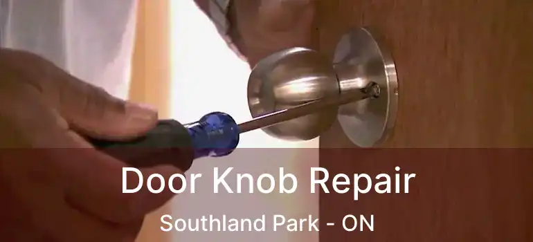  Door Knob Repair Southland Park - ON