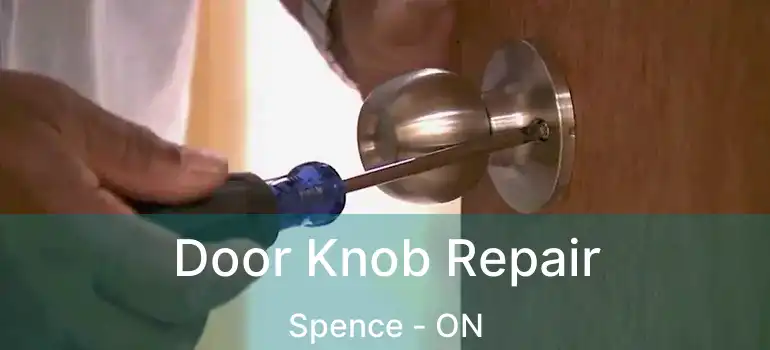  Door Knob Repair Spence - ON