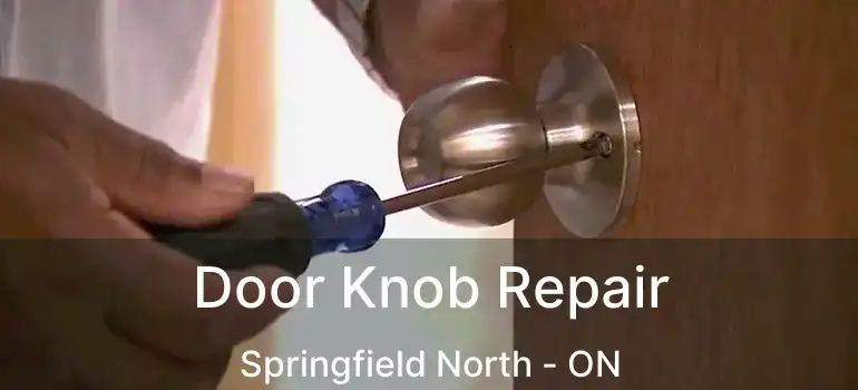  Door Knob Repair Springfield North - ON