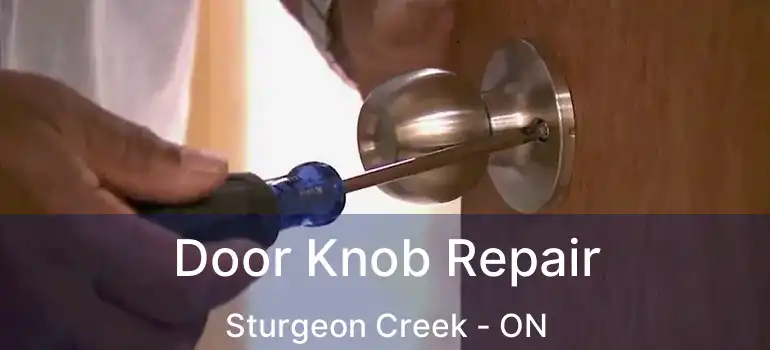 Door Knob Repair Sturgeon Creek - ON