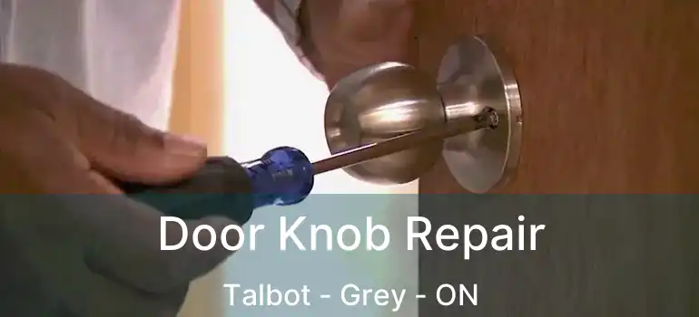  Door Knob Repair Talbot - Grey - ON