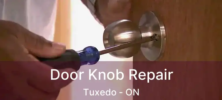  Door Knob Repair Tuxedo - ON