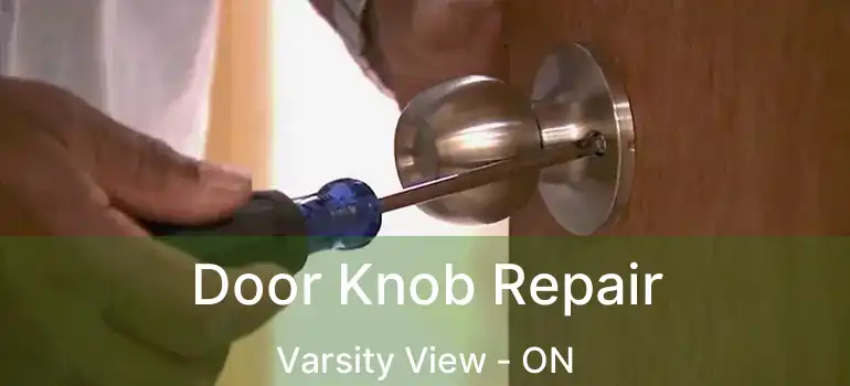  Door Knob Repair Varsity View - ON