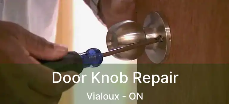  Door Knob Repair Vialoux - ON