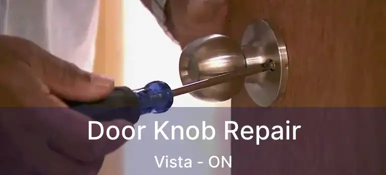  Door Knob Repair Vista - ON