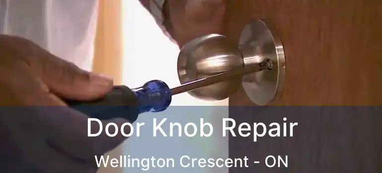  Door Knob Repair Wellington Crescent - ON