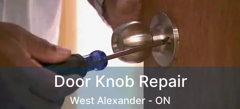  Door Knob Repair West Alexander - ON
