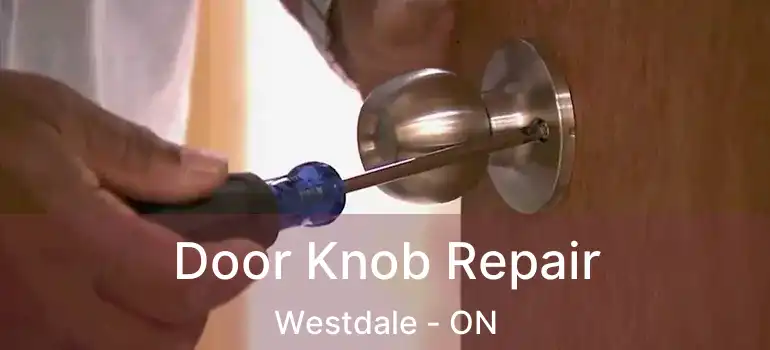  Door Knob Repair Westdale - ON