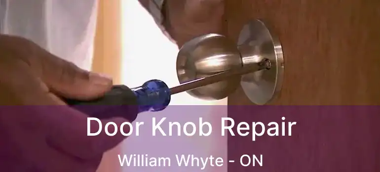  Door Knob Repair William Whyte - ON