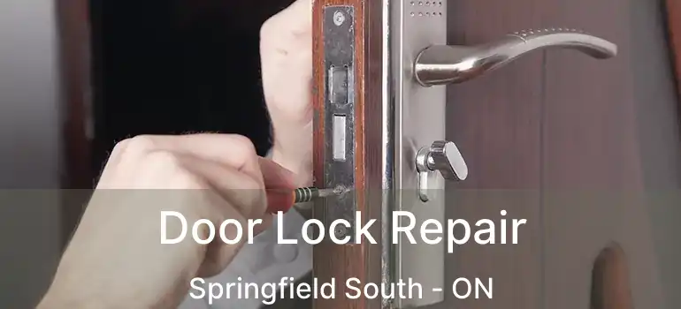  Door Lock Repair Springfield South - ON