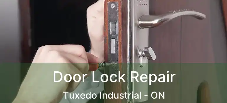  Door Lock Repair Tuxedo Industrial - ON