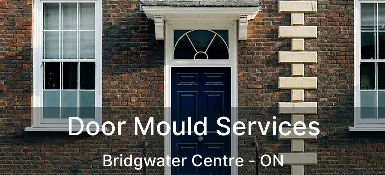  Door Mould Services Bridgwater Centre - ON