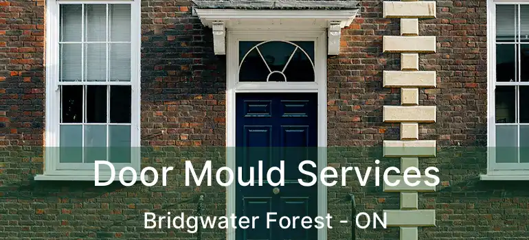  Door Mould Services Bridgwater Forest - ON