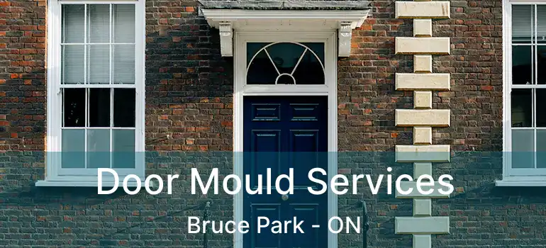  Door Mould Services Bruce Park - ON