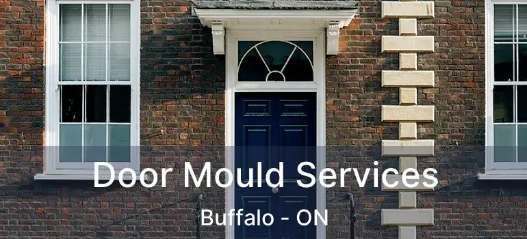  Door Mould Services Buffalo - ON