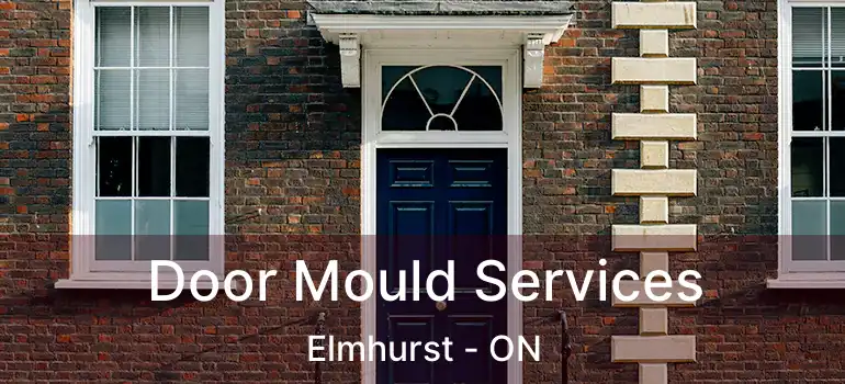  Door Mould Services Elmhurst - ON