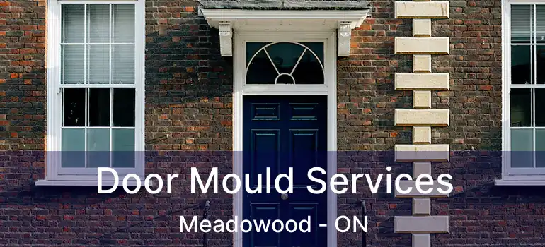  Door Mould Services Meadowood - ON