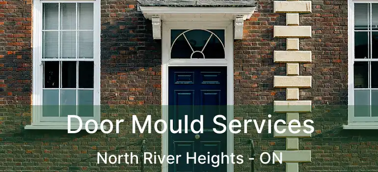  Door Mould Services North River Heights - ON
