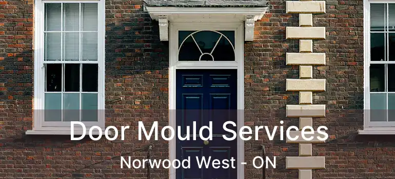  Door Mould Services Norwood West - ON