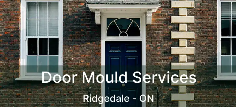  Door Mould Services Ridgedale - ON