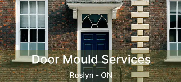  Door Mould Services Roslyn - ON