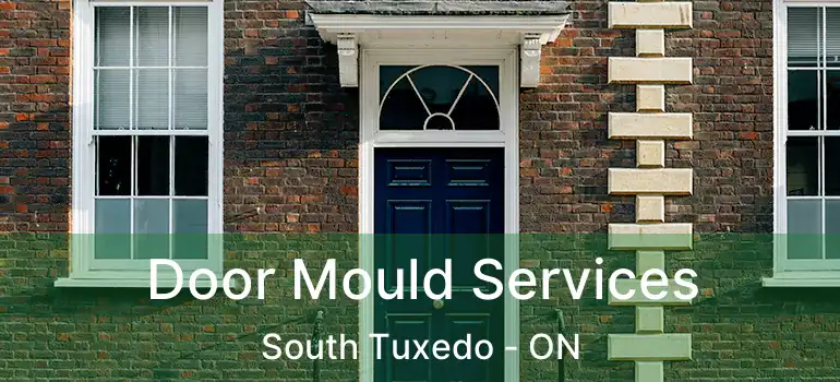  Door Mould Services South Tuxedo - ON