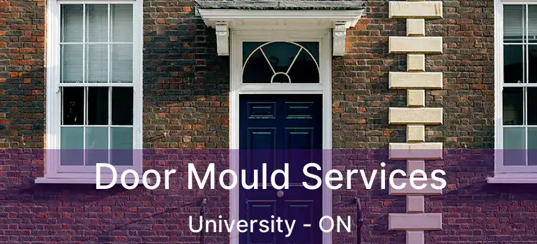  Door Mould Services University - ON