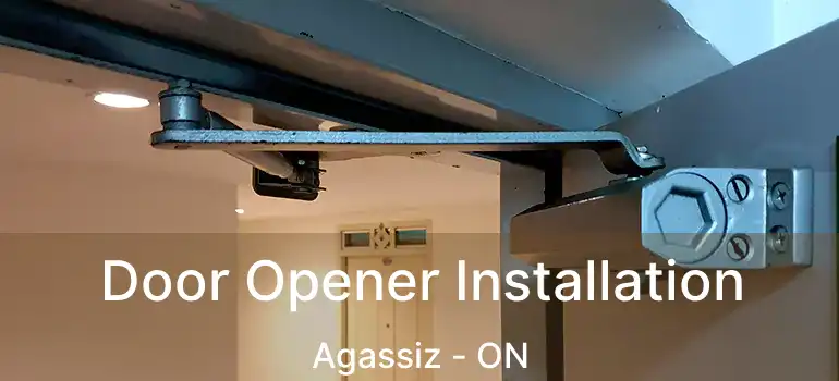  Door Opener Installation Agassiz - ON