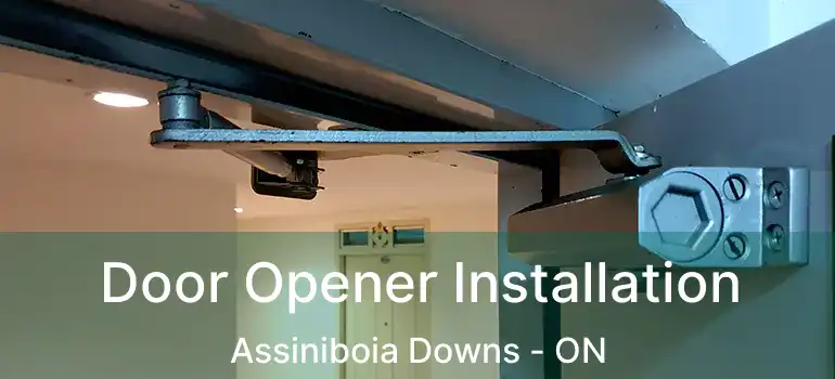  Door Opener Installation Assiniboia Downs - ON