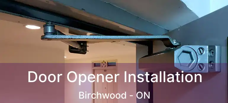  Door Opener Installation Birchwood - ON