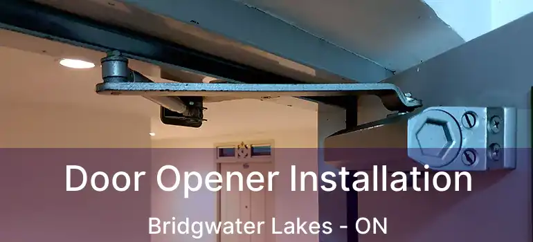  Door Opener Installation Bridgwater Lakes - ON