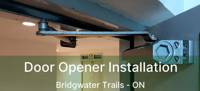  Door Opener Installation Bridgwater Trails - ON