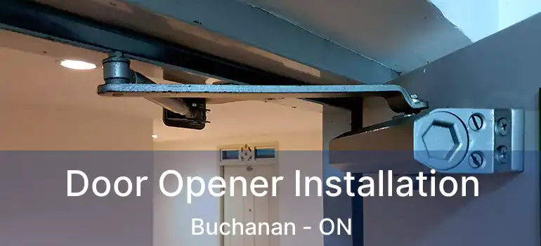  Door Opener Installation Buchanan - ON