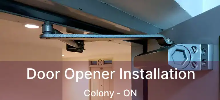  Door Opener Installation Colony - ON