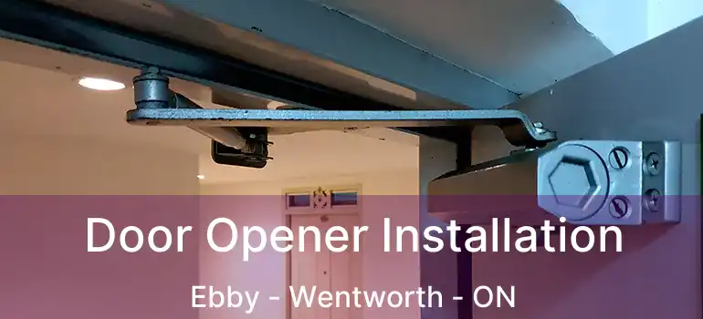  Door Opener Installation Ebby - Wentworth - ON