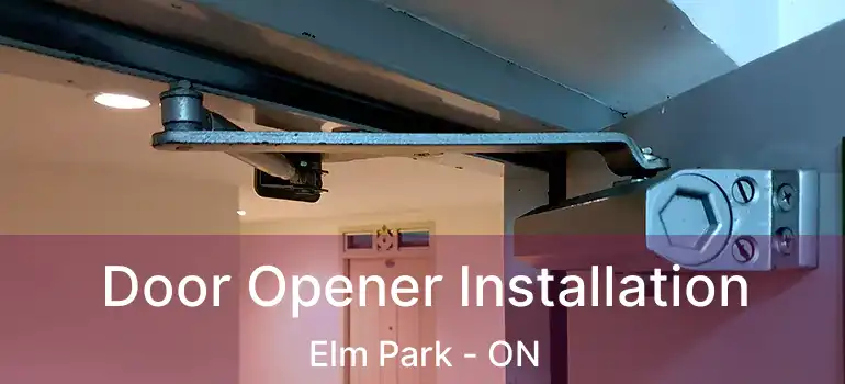 Door Opener Installation Elm Park - ON