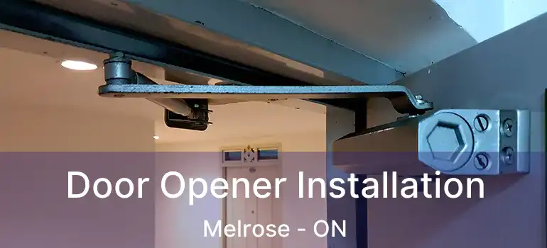 Door Opener Installation Melrose - ON