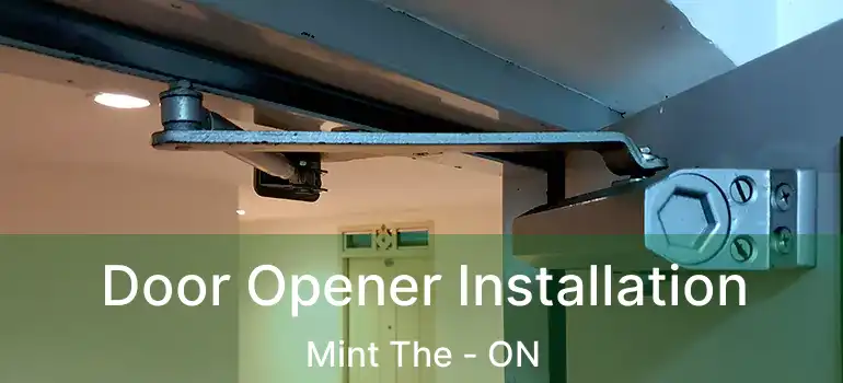 Door Opener Installation Mint The - ON