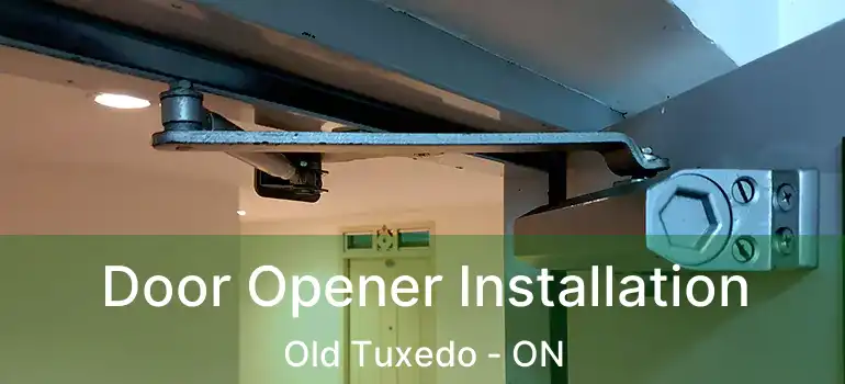  Door Opener Installation Old Tuxedo - ON