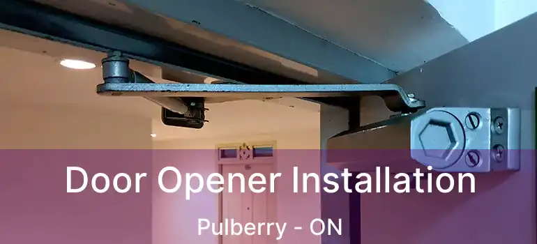  Door Opener Installation Pulberry - ON