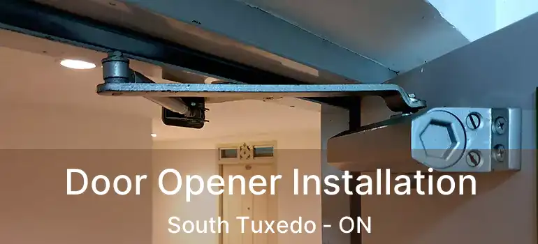  Door Opener Installation South Tuxedo - ON