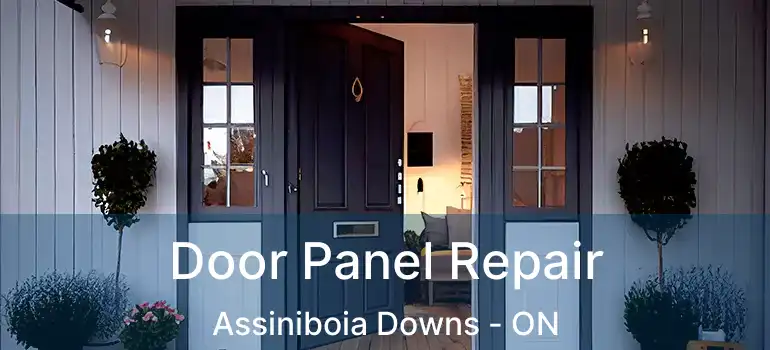  Door Panel Repair Assiniboia Downs - ON